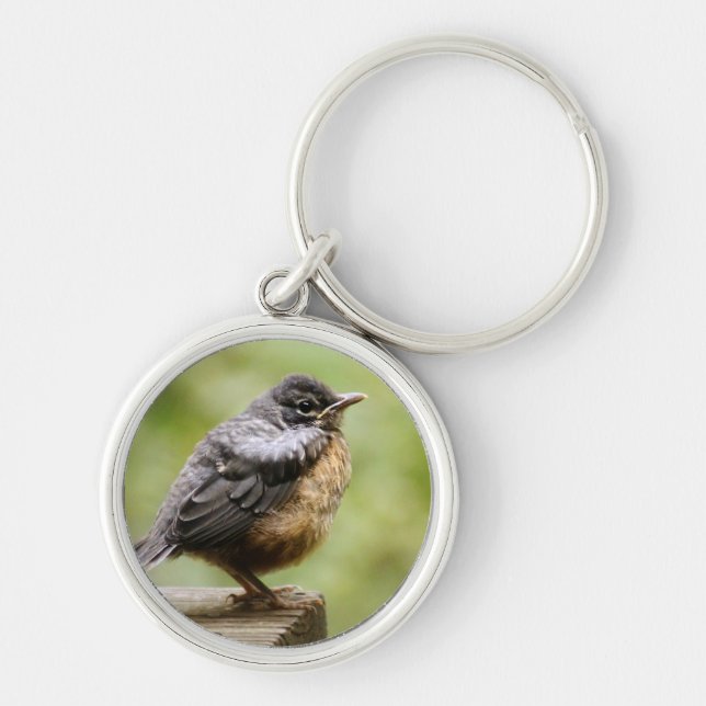 Young Robin Keychain (Front)