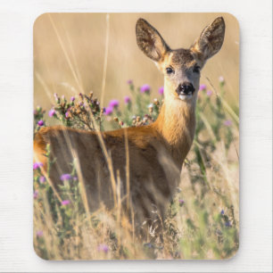 Young Roe Deer in Meadow Mouse Pad
