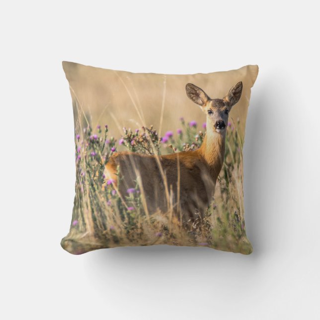 Young Roe Deer in Meadow Throw Pillow (Front)