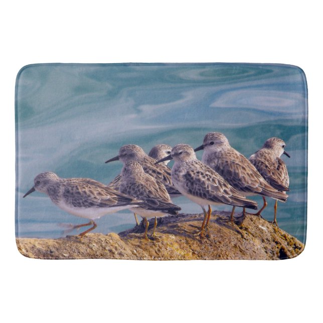 Young Ruddy Turnstones Bathroom Mat (Front)