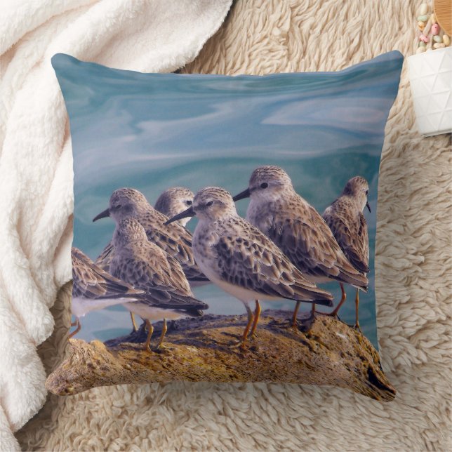 Young Ruddy Turnstones Throw Pillow (Blanket)