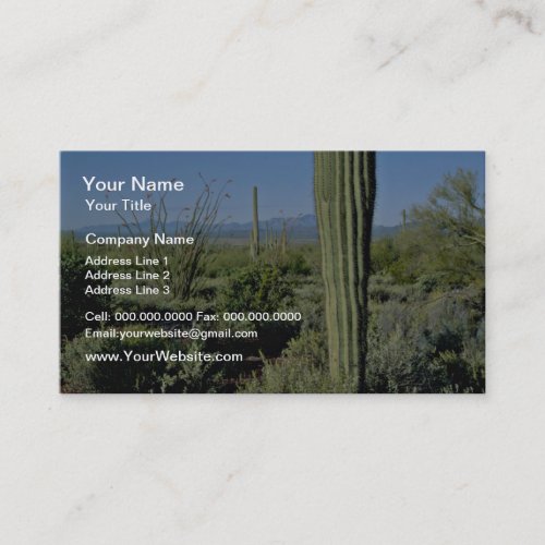 Young Saguaro Cacti Flowering Ocotillo flowers Business Card