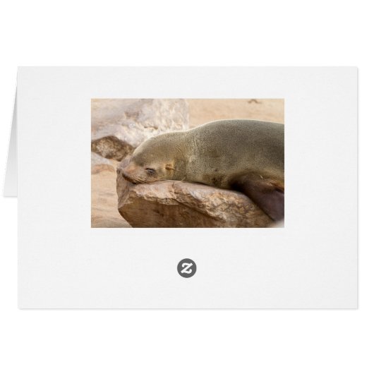 Young sea lion (Back Horizontal)