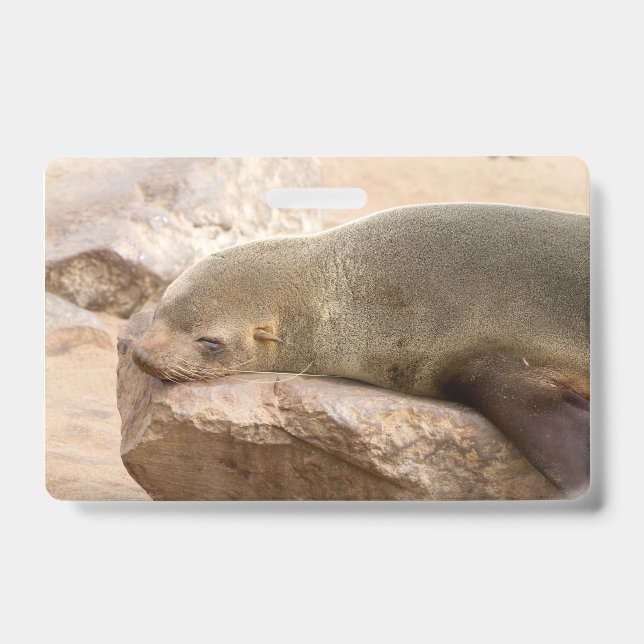 Young sea lion badge (Front)