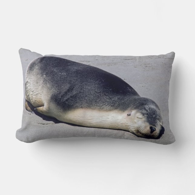 Young seal sleeping on a beach - Australia Lumbar Pillow (Front)
