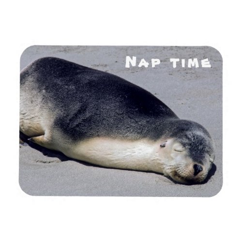 Young seal sleeping on a beach _ Australia Magnet