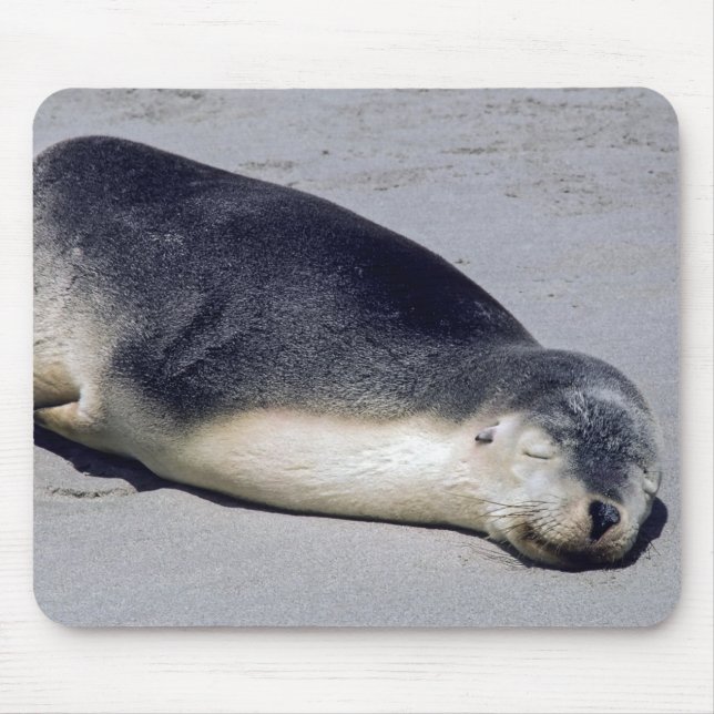 Young seal sleeping on a beach - Australia Mouse Pad (Front)