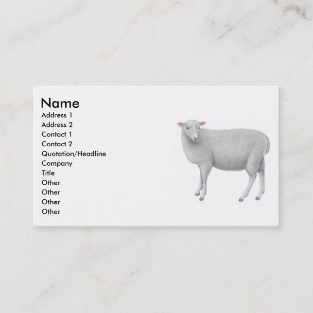 Young Sheepp Business Card (Front)