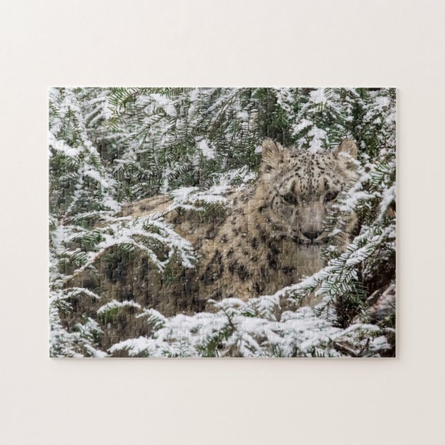 Young Snow Leopard Jigsaw Puzzle (Horizontal)