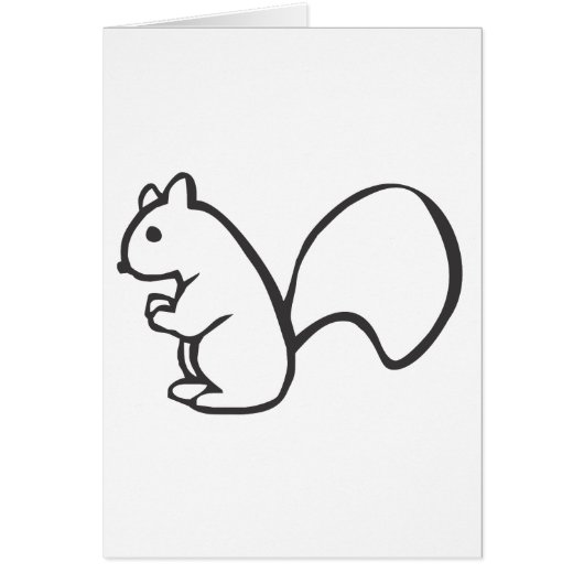 Young Squirrel in Black and White Sketch Cards (Front)