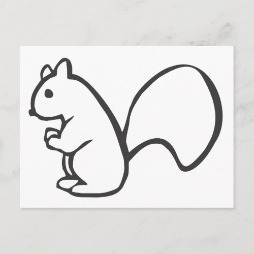 Young Squirrel in Black and White Sketch Postcard