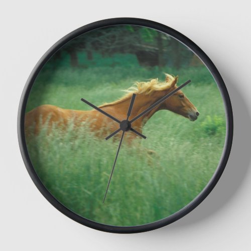 Young Stallion Runs Through Meadow Clock