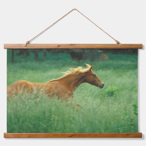 Young Stallion Runs Through Meadow Hanging Tapestry