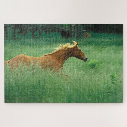 Young Stallion Runs Through Meadow Jigsaw Puzzle