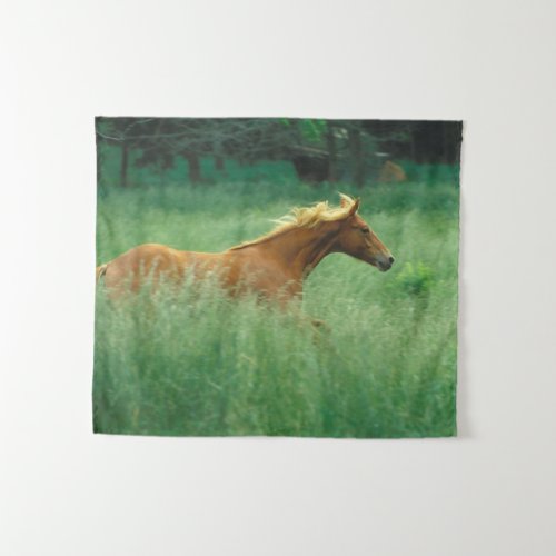 Young Stallion Runs Through Meadow Tapestry