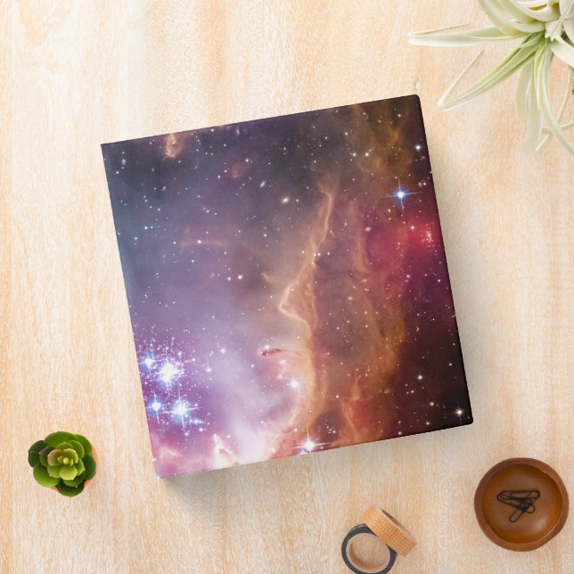 Young Stars In The Small Magellanic Cloud. 3 Ring Binder (In Situ)