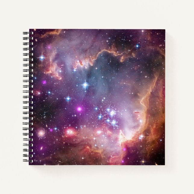 Young Stars In The Small Magellanic Cloud. Notebook (Front)