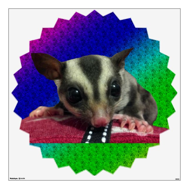 Young Sugar Glider Wall Decal (Front)