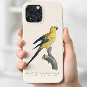 Young Sun Parakeet or Conure Aratinga solstitialis iPhone 13 Pro Max Case