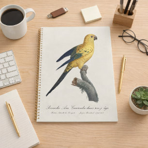 Young Sun Parakeet or Conure Aratinga solstitialis Planner