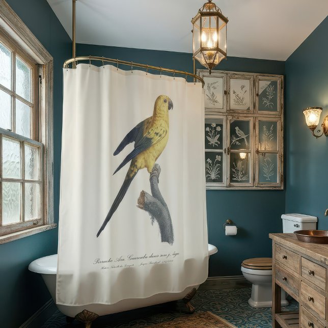 Young Sun Parakeet or Conure Aratinga solstitialis Shower Curtain (Guarouba dans sons jeune age / Sun parakeet. Shower Curtain)