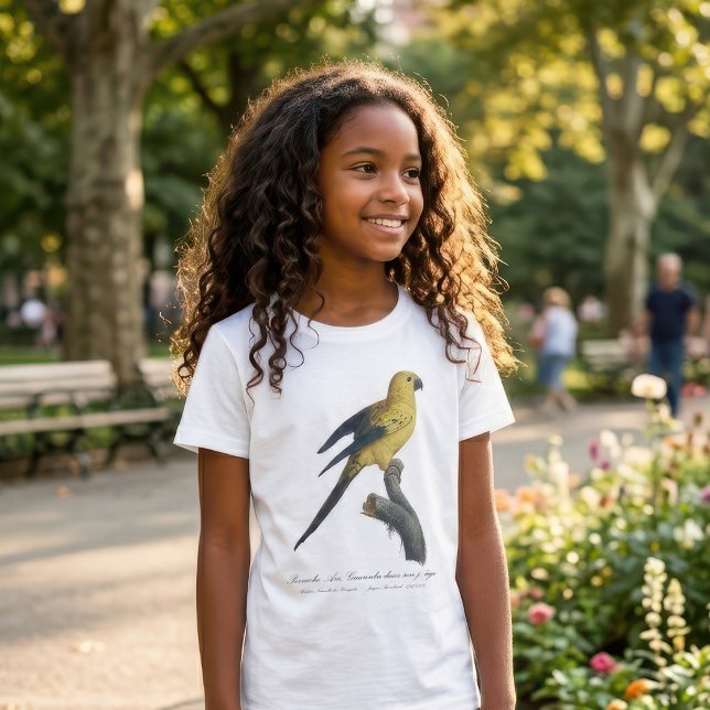 Young Sun Parakeet or Conure Aratinga solstitialis T-Shirt (Guarouba dans sons jeune age / Sun parakeet. Girl Basic White T-Shirt )