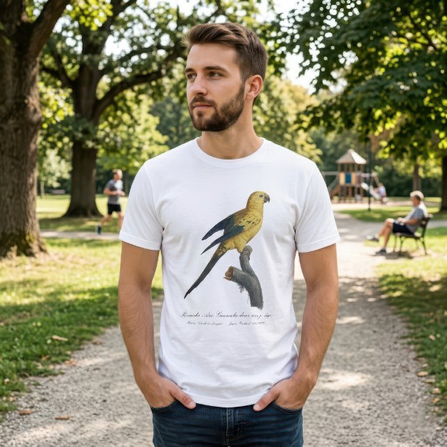 Young Sun Parakeet or Conure Aratinga solstitialis T-Shirt (Guarouba dans sons jeune age / Sun parakeet. Men Basic White T-Shirt)