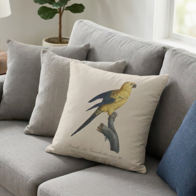 Young Sun Parakeet or Conure Aratinga solstitialis Throw Pillow (Guarouba dans sons jeune age / Sun parakeet. Throw Pillow)