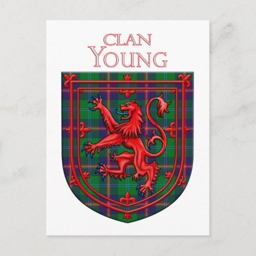 Young Tartan Scottish Plaid Lion Rampant Postcard