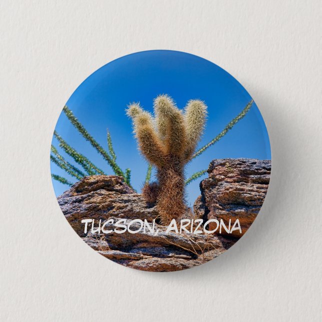 Young Teddy Bear Cholla Cactus, Tucson Pinback Button (Front)