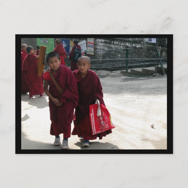 Young Tibetan Buddhist Monks, Dharamsala, India Postcard (Front)