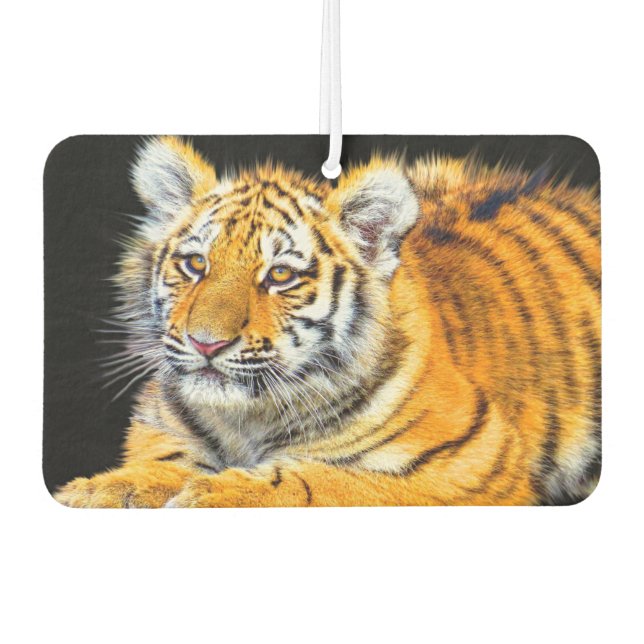 Young Tiger Air Freshener (Front)
