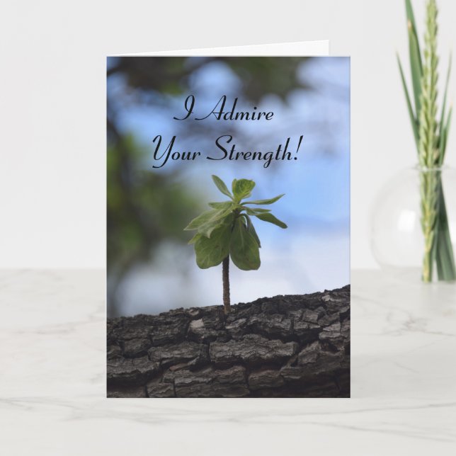 Young Tree Growing out of a Log Holiday Card (Front)