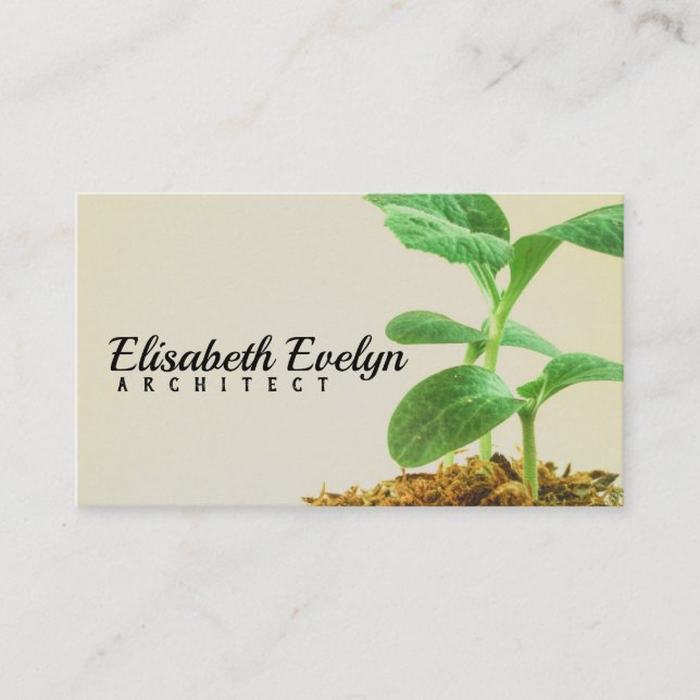 Young Tree Plant Business Card (Front)
