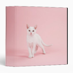 Young white cat binder