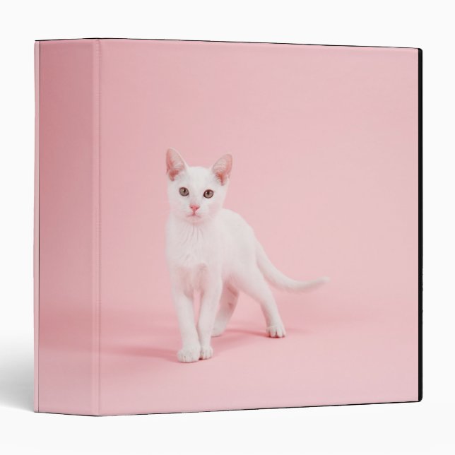 Young white cat binder (Front/Spine)