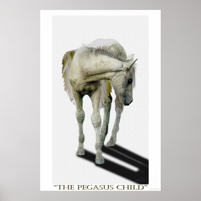 Young White Pegasus Colt Fantasy Art Poster (Front)