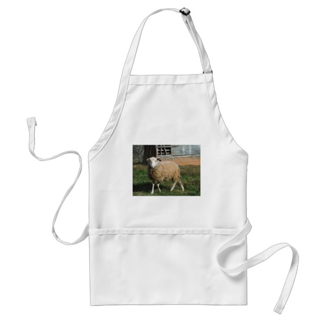 Young White Sheep on the Farm Adult Apron (Front)