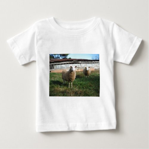 Young White Sheep on the Farm Baby T_Shirt