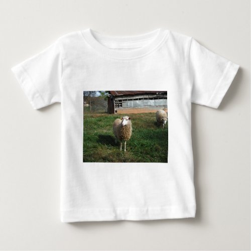 Young White Sheep on the Farm Baby T_Shirt