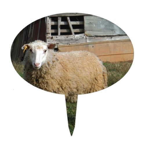 Young White Sheep on the Farm Cake Topper
