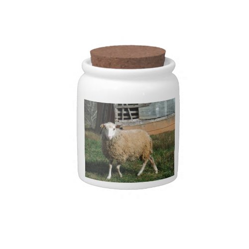 Young White Sheep on the Farm Candy Jar