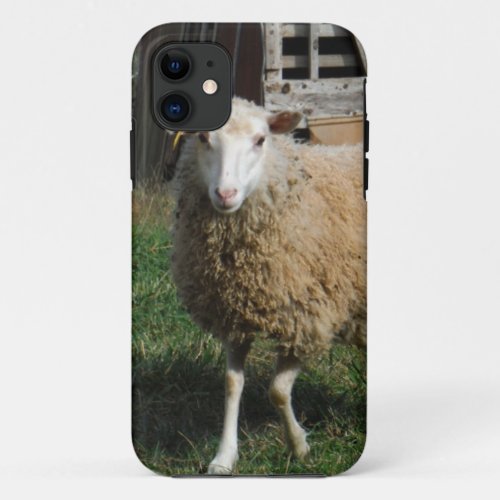 Young White Sheep on the Farm iPhone 11 Case