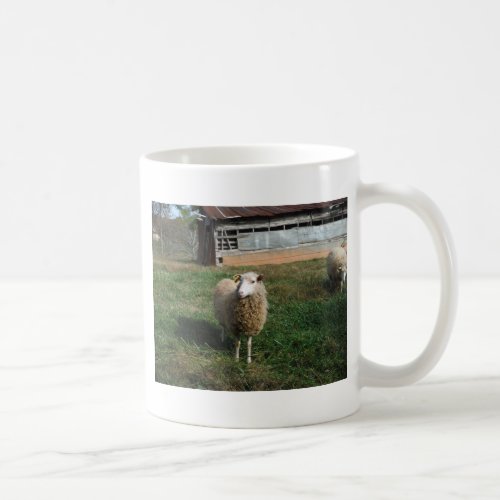 Young White Sheep on the Farm Coffee Mug