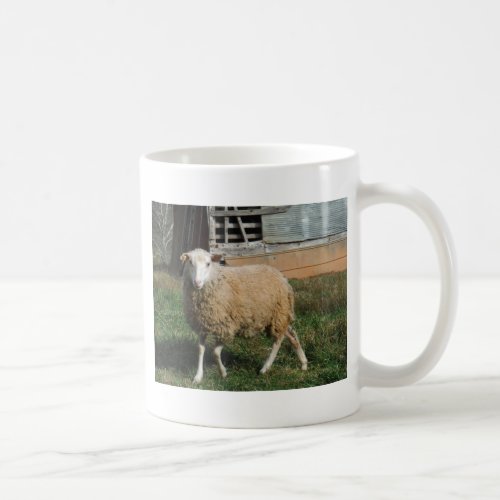 Young White Sheep on the Farm Coffee Mug