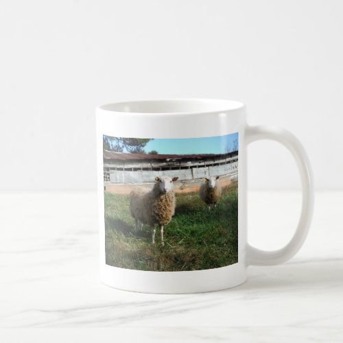 Young White Sheep on the Farm Coffee Mug