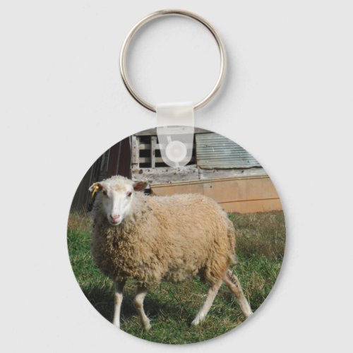Young White Sheep on the Farm Keychain