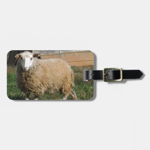 Young White Sheep on the Farm Luggage Tag