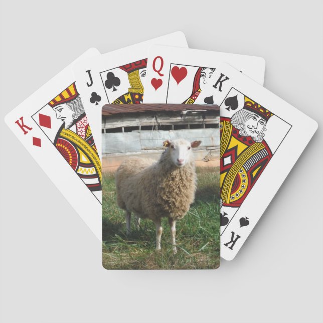 Young White Sheep on the Farm Poker Cards (Back)