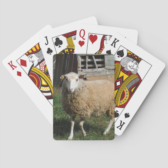 Young White Sheep on the Farm Poker Cards (Back)